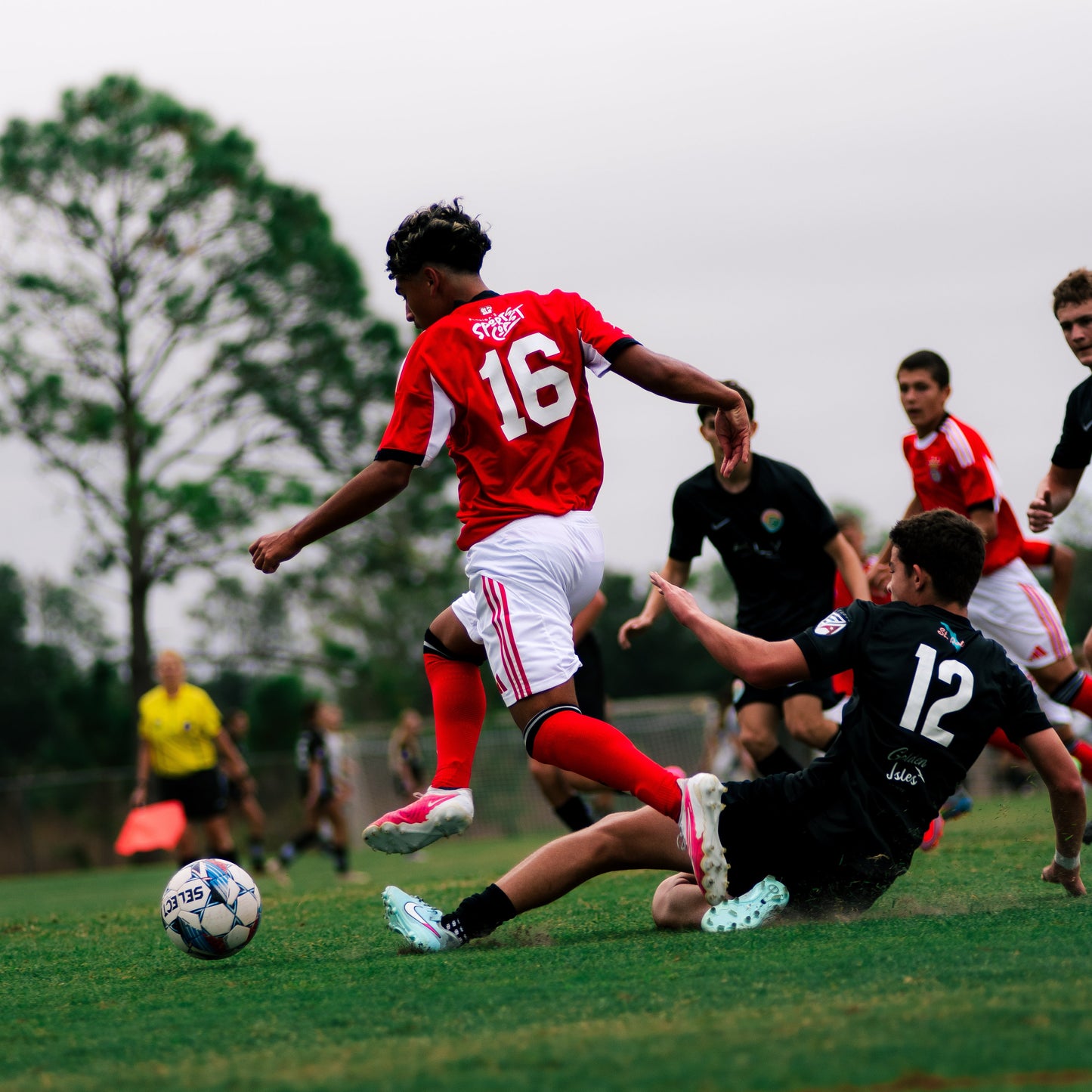 𝐔𝐥𝐭𝐢𝐦𝐚𝐭𝐞 𝐄𝐯𝐞𝐫𝐲𝐝𝐚𝐲 𝐏𝐚𝐜𝐤 / 27 𝐏𝐫𝐞𝐬𝐞𝐭𝐬