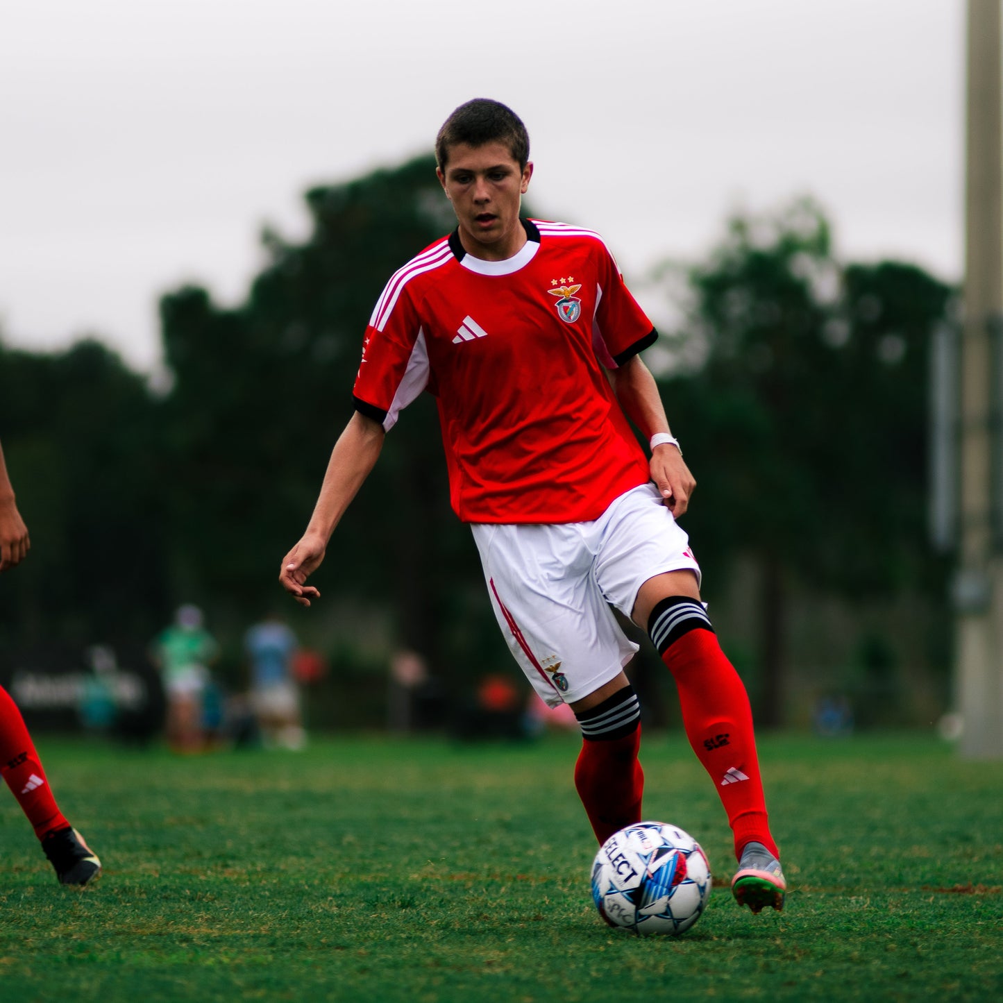 𝐔𝐥𝐭𝐢𝐦𝐚𝐭𝐞 𝐄𝐯𝐞𝐫𝐲𝐝𝐚𝐲 𝐏𝐚𝐜𝐤 / 27 𝐏𝐫𝐞𝐬𝐞𝐭𝐬