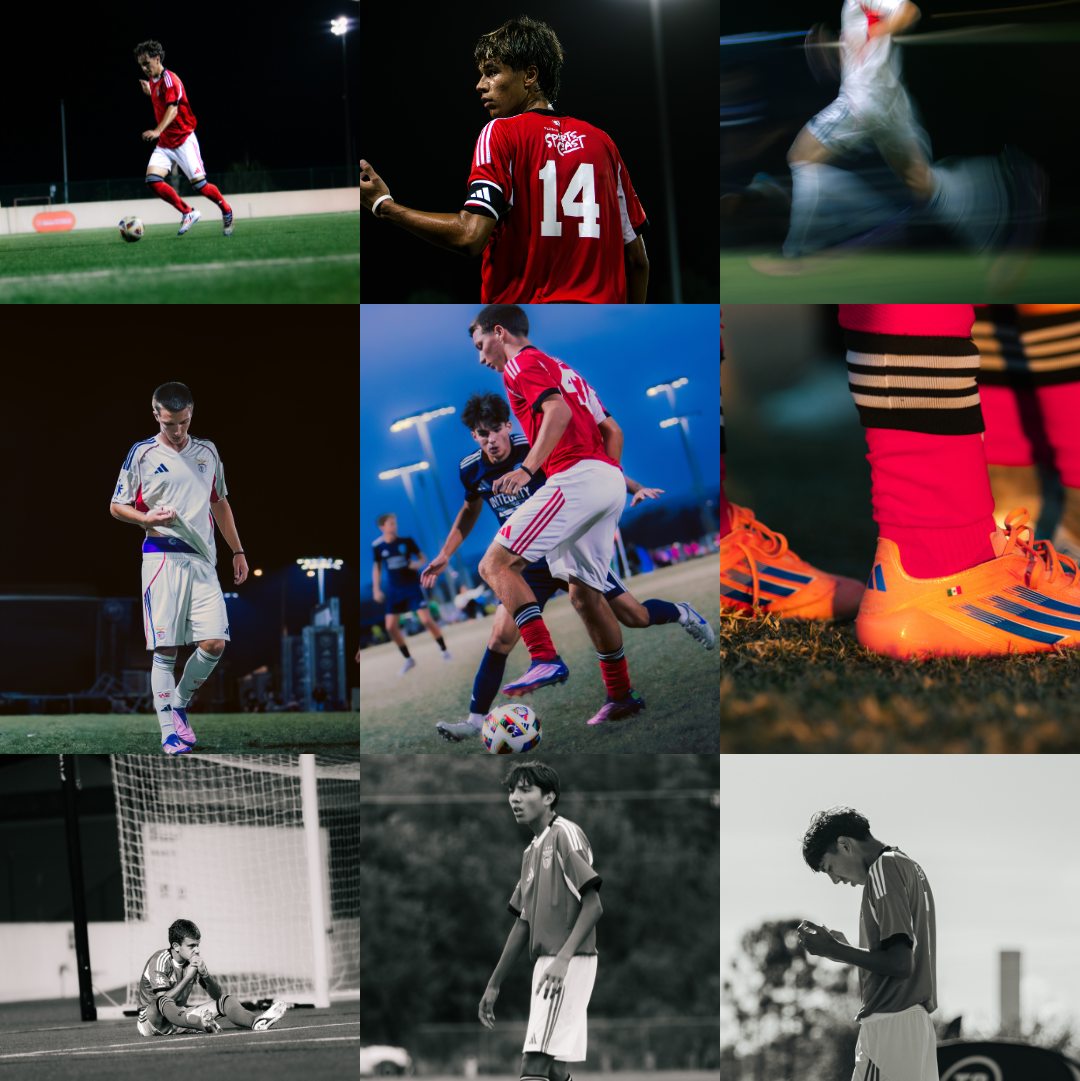 All Preset Bundle     SALE ENDING TONIGHT‼️