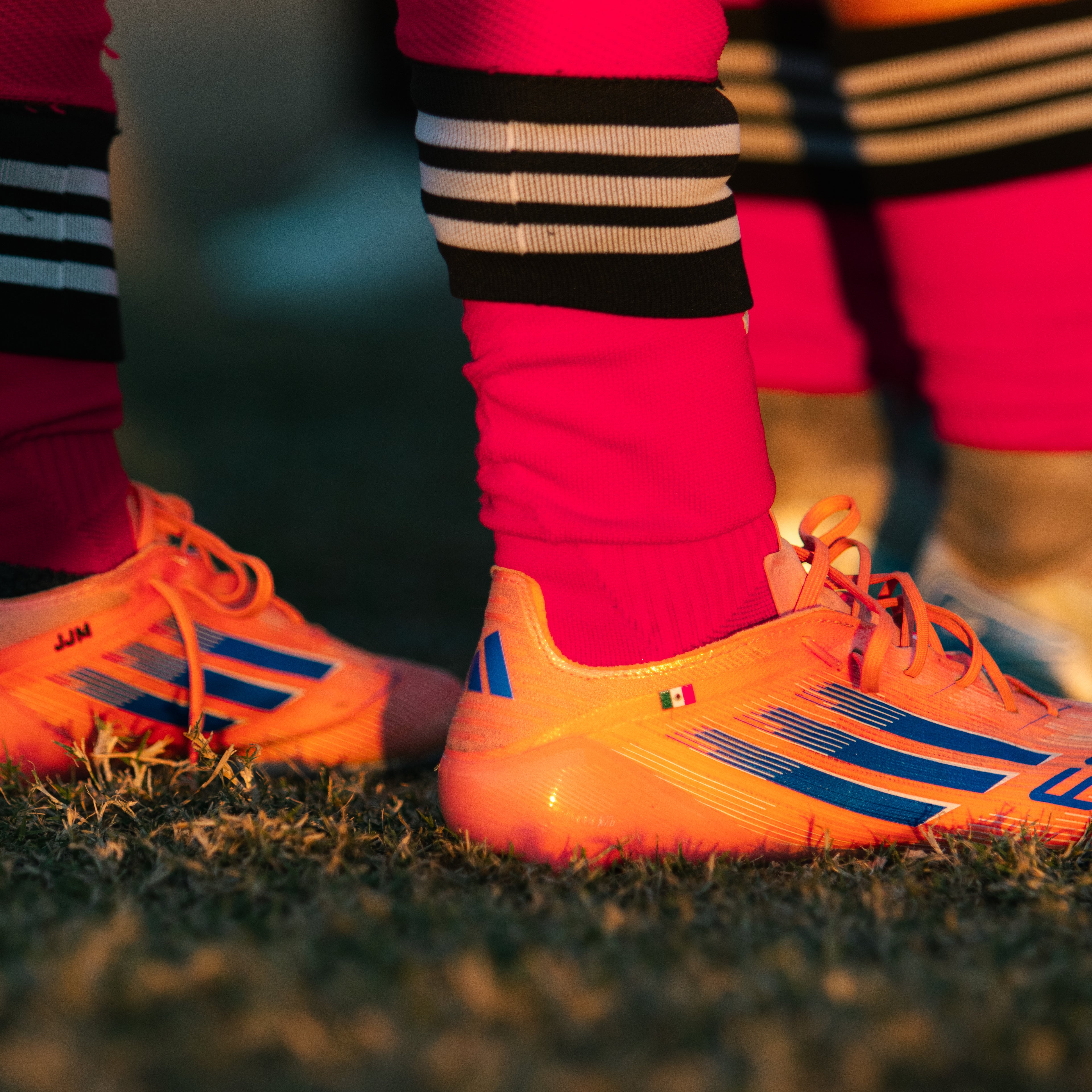 𝐔𝐥𝐭𝐢𝐦𝐚𝐭𝐞 PACK‼️